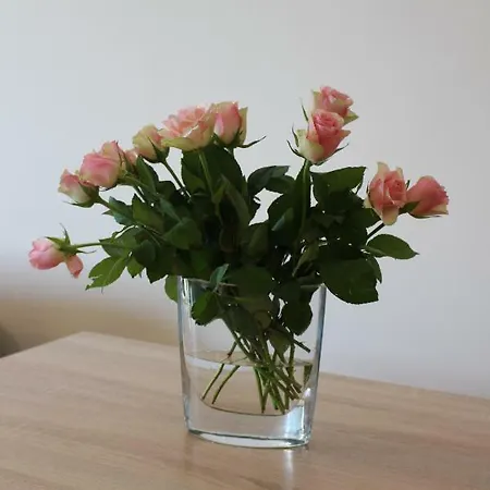 China Rose Lägenhet
